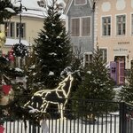 Photo taken by Ellyn V