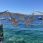 Photo taken by Brad R