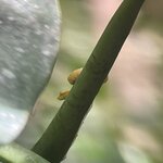 Photo taken by Kate R