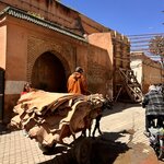 Photo taken by Kelly S