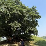 Photo taken by Meenakshi B