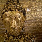 Photo taken by Steve B