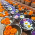 Photo taken by Jane G