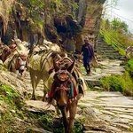 Photo taken by Ziyad H