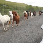 Photo taken by Denise H