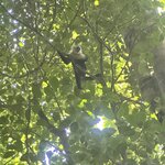 Photo taken by Lauren A