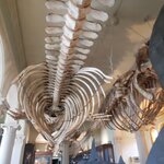 Photo taken by Taylor B