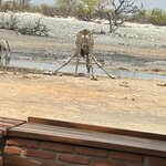 Photo taken by Nigel R