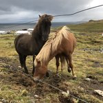 Photo taken by michelle g