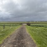 Photo taken by Dawn S