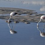 Photo taken by Martine B