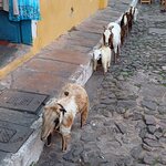 Photo taken by Matt W