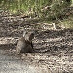 Photo taken by Amy Z