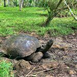 Photo taken by Katarzyna W