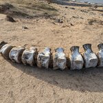 Photo taken by Alex T