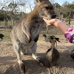 Photo taken by Gina L