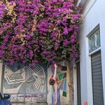 Photo taken by Ellen B