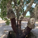 Photo taken by Debbie W