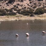 Photo taken by Eric H