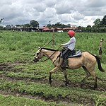 Photo taken by Michelle D