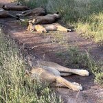 Photo taken by Crystall P