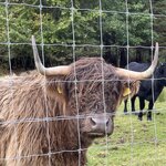 Photo taken by David L