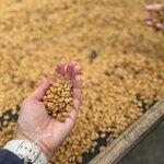 Photo taken by Dana F