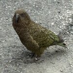 Photo taken by susan s