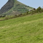 Photo taken by Catherine H