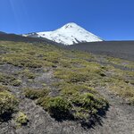 Photo taken by Sharon B