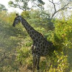 Photo taken by Linette B