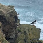 Photo taken by Tom B