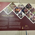 The sugar cane process explained | Photo taken by Anita L