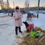 Photo taken by Jennie H