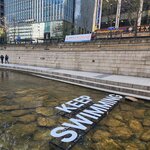 Photo taken by Mark C