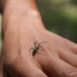 Photo taken by Miranda M