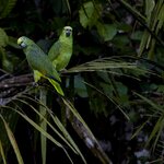 Photo taken by Sabine V