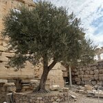 Photo taken by Hope S