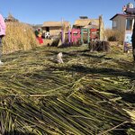 Photo taken by Sheri F