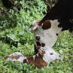 Photo taken by Miranda M