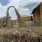 Photo taken by William B