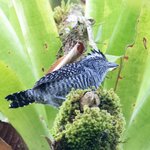 Photo taken by Joyce C