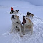 Photo taken by Lori M