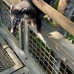 Photo taken by Graciela P