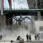 Photo taken by Liz S