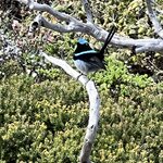 Photo taken by Rosemary S