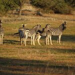 Photo taken by Sandro P