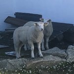 The locals were curious | Photo taken by florence P