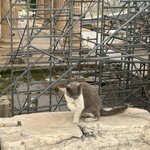 Photo taken by Amanda F