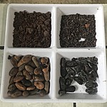 Photo taken by Michelle D